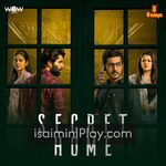 Secret Home movie poster